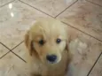 Billy