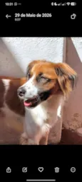 Benício
