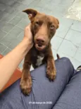Paçoca