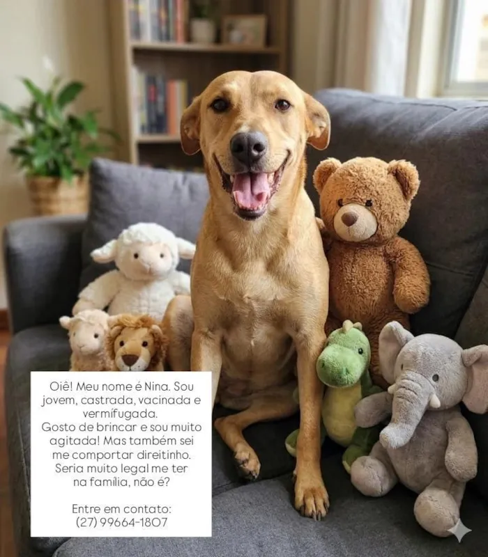 Cachorro raça SRD-ViraLata idade 5 anos nome Nina