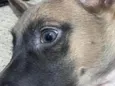 LUA 