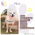 Nick