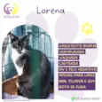 Lorena