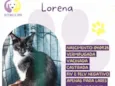 Lorena