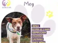 Meg