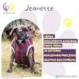 Jeanette