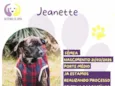 Jeanette