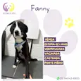 Fanny