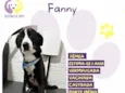Fanny
