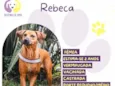 Rebeca