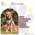 Revoada