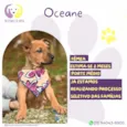 Oceane