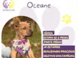 Oceane
