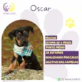 Oscar