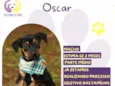 Oscar