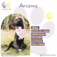 Artemis