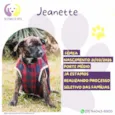 Jeanette