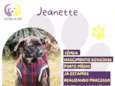 Jeanette