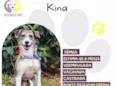 Kina