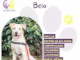 Belo