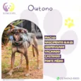 Outono