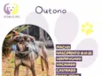 Outono