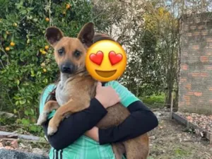 Cachorro raça SRD-ViraLata idade 1 ano nome ?