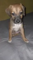 princesa 