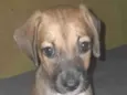 princesa 
