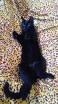 Tina