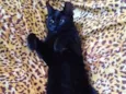 Tina