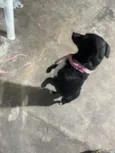 preta