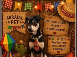 Cachorro raça SRD-ViraLata idade 2 a 6 meses nome Bob