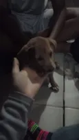 Eloa