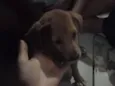 Eloa