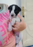 Julio 