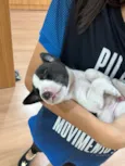 Julio 