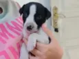 Julio 