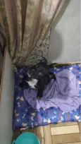 tom