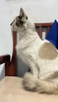 não sei 