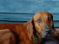 Caramelão 