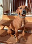 Caramelão 
