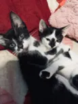 Eliza e Flora