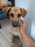 Marley