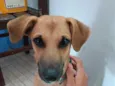 Marley