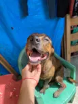 Bolt 