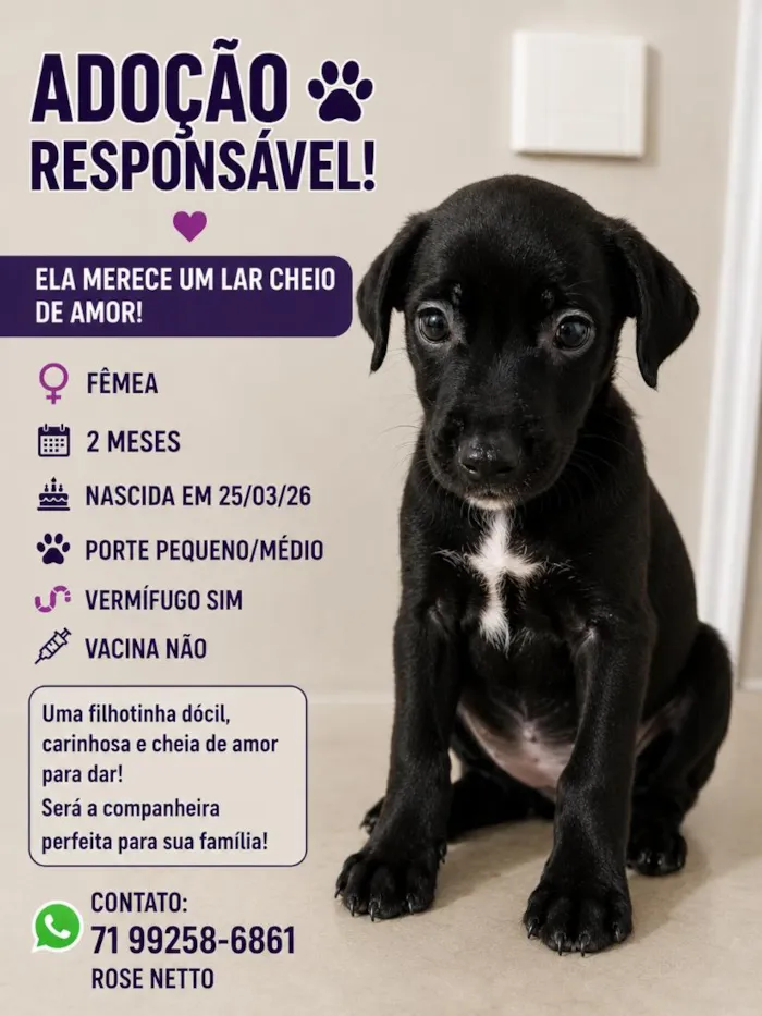 Cachorro raça SRD-ViraLata idade 2 a 6 meses nome Nala