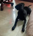 LUPITA