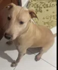 Charlie Brown 