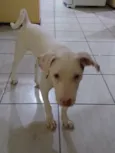 Lua